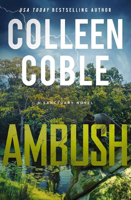 Ambush: A Small-Town Romantic Suspense (A Sanctuary Novel Book 1)